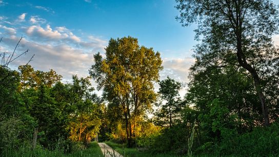 Spring in Iowa: Why the “World Capital of Trails” Is a Dream Destination for Outdoor-Loving Relocators